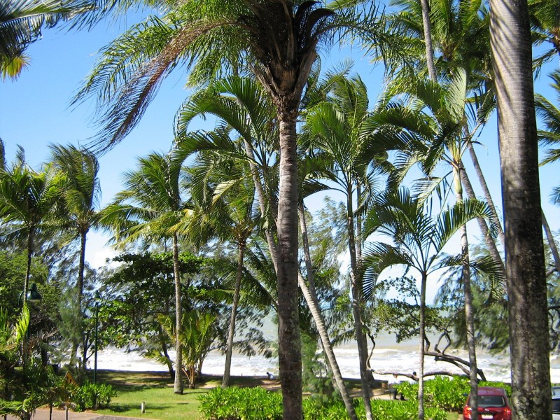3/65 Williams Esplanade, Palm Cove QLD 4879
