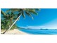 3 Drupa St, Palm Cove QLD 4879