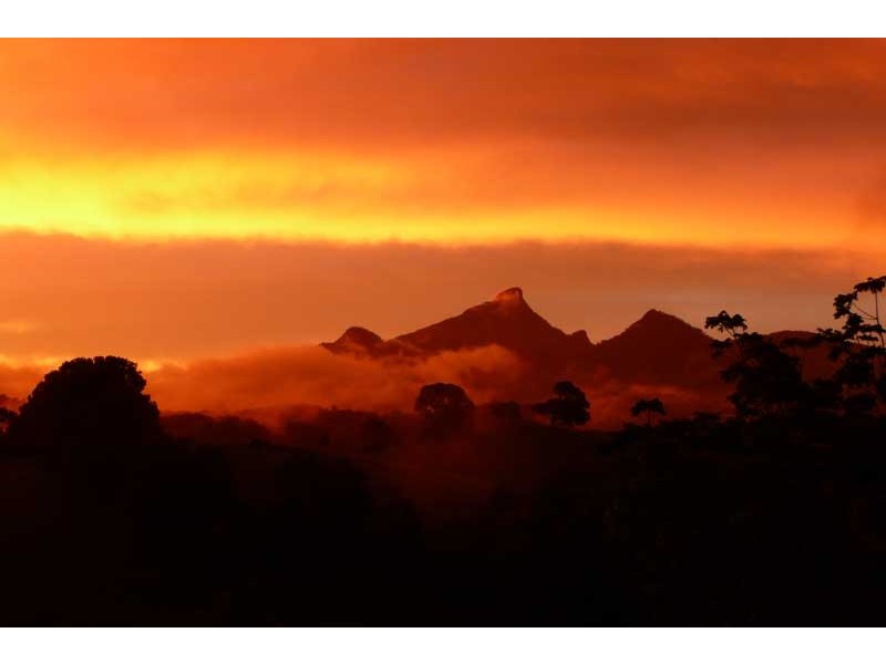 52 Malabar Avenue, Uki NSW 2484