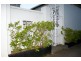 0 billyard st, Elizabeth Bay NSW 2011