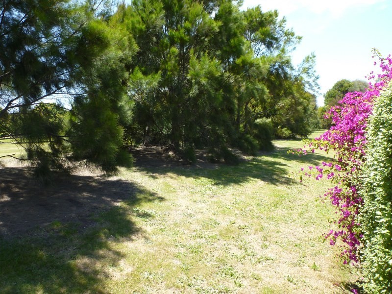 43 Tonkin Street, Safety Beach VIC 3936