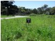 Lot 5/123 Dromana Parade, Safety Beach VIC 3936