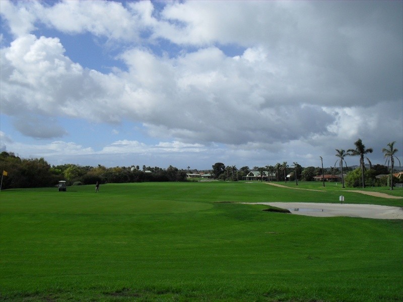 17 Dale Avenue, Safety Beach VIC 3936