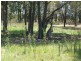 140 RICHARD, Mango Hill QLD 4509