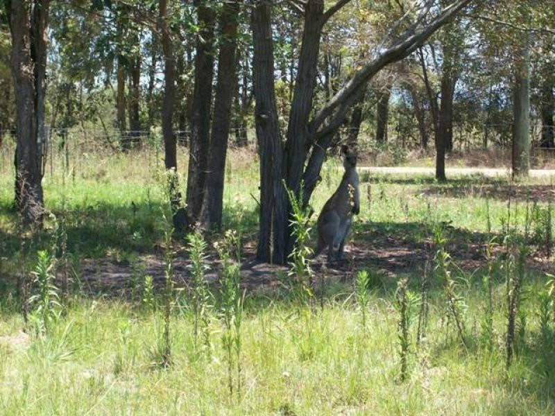 1 GREGORY RD, Mango Hill QLD 4509