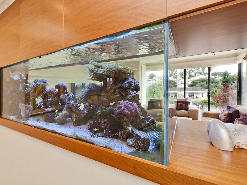 A/3 Hawkins Street, Mount Pleasant WA 6153