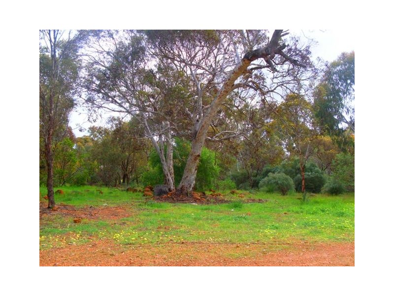 19 Spice Rd, Bindoon WA 6502