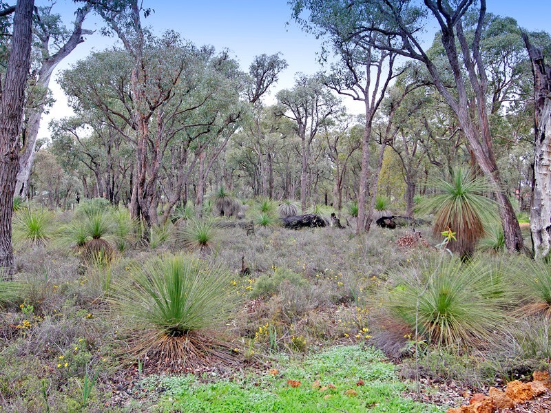 24 Red Poll Crt, Lower Chittering WA 6084