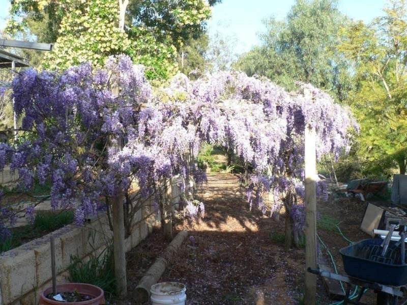 36 Hart Drive, Chittering WA 6084