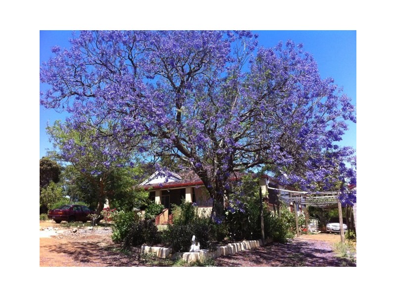 36 Hart Drive, Chittering WA 6084