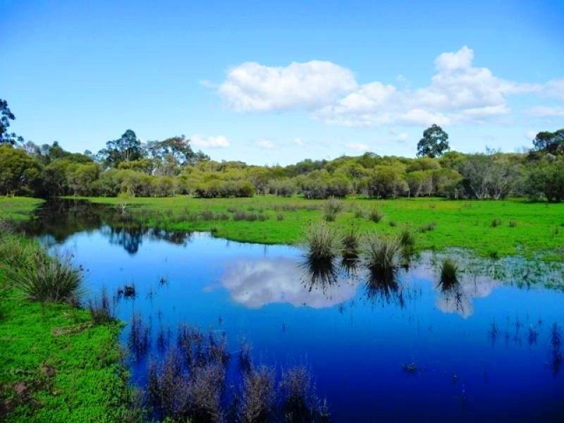 84 Peters Rd, Muchea WA 6501