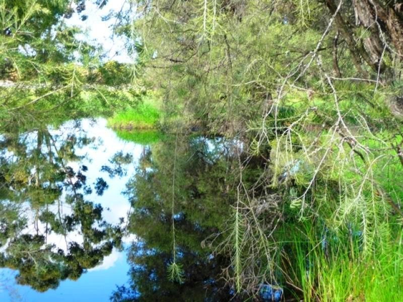 84 Peters Rd, Muchea WA 6501