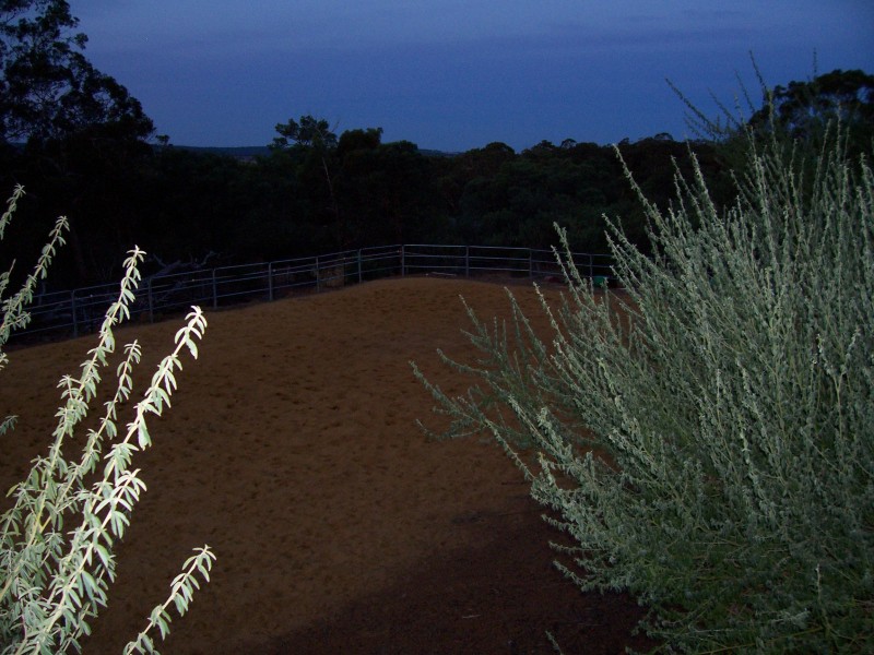 220 Hart Drive, Chittering WA 6084