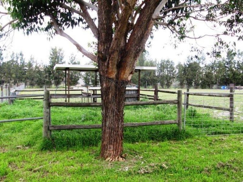 12 Bagley St, Muchea WA 6501