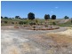 217 Alawoona Circle, Bullsbrook WA 6084