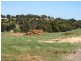217 Alawoona Circle, Bullsbrook WA 6084