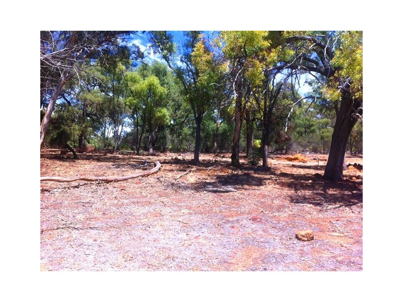 226 Hart Drive, Chittering WA 6084