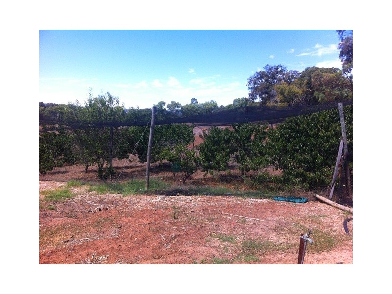 226 Hart Drive, Chittering WA 6084