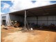 Yungaburra QLD 4884