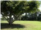 Yungaburra QLD 4884
