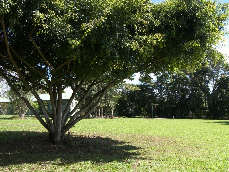 Yungaburra QLD 4884