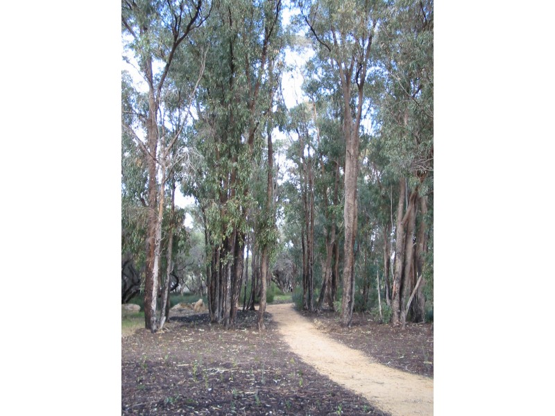 Lot/212 Preston Drive, Munster WA 6166