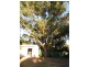 15 Sefton Avenue, Viveash WA 6056