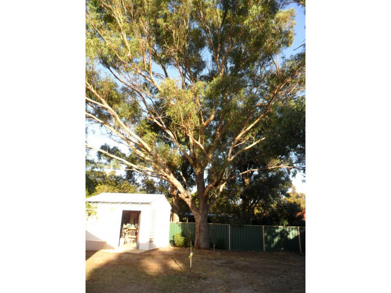 15 Sefton Avenue, Viveash WA 6056