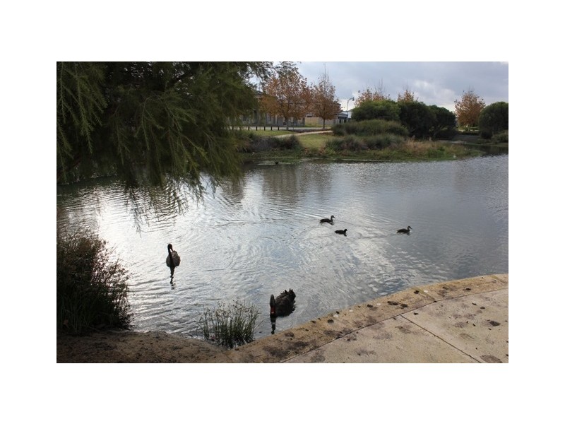 3 Senise, Stirling WA 6021