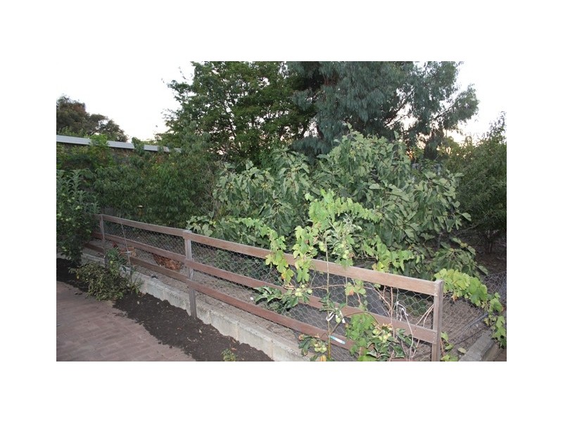 18 Cachuca Court, Duncraig WA 6023