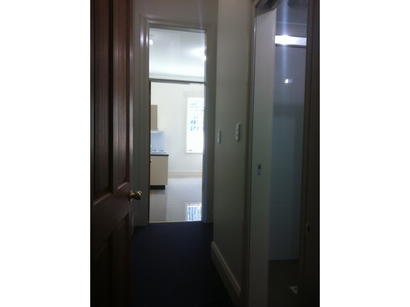 1/427 Cleveland Street, Surry Hills NSW 2010