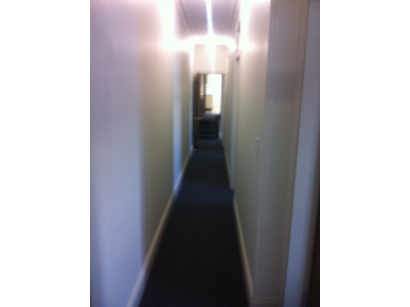 2/427 Cleveland Street, Surry Hills NSW 2010