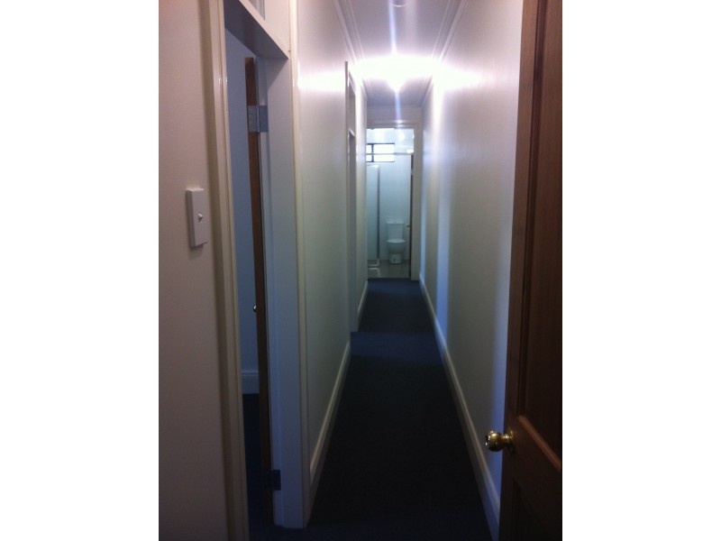 2/427 Cleveland Street, Surry Hills NSW 2010