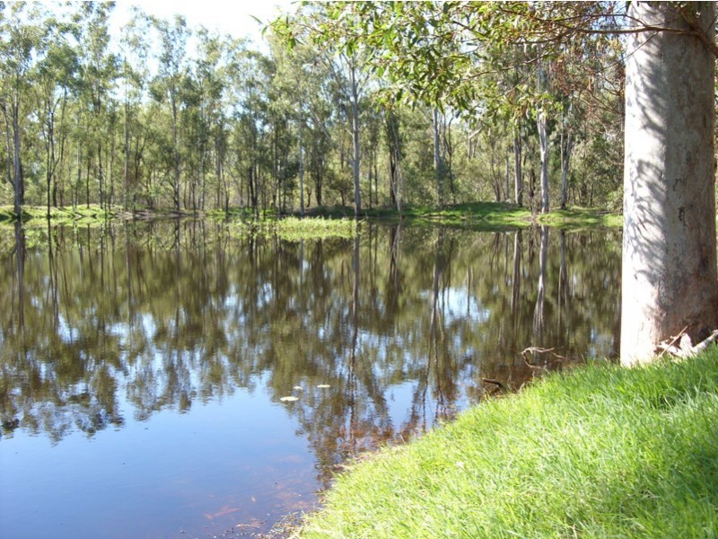 Lot 43 Eureka Road, Golden Fleece QLD 4621