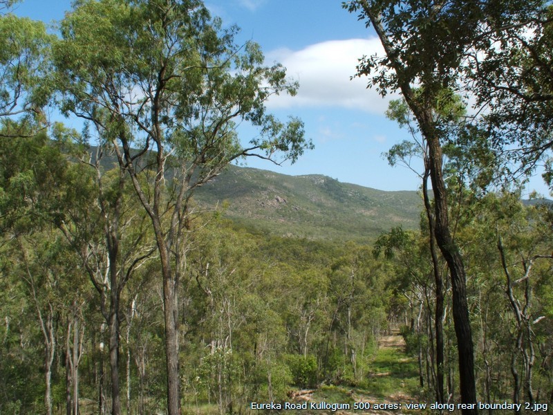 Lot 43 Eureka Road, Golden Fleece QLD 4621