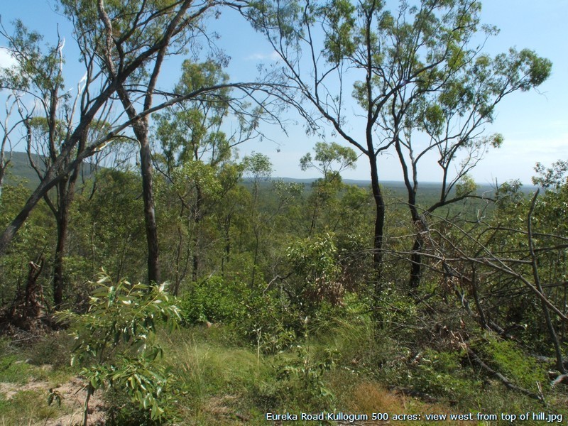 Lot 43 Eureka Road, Golden Fleece QLD 4621