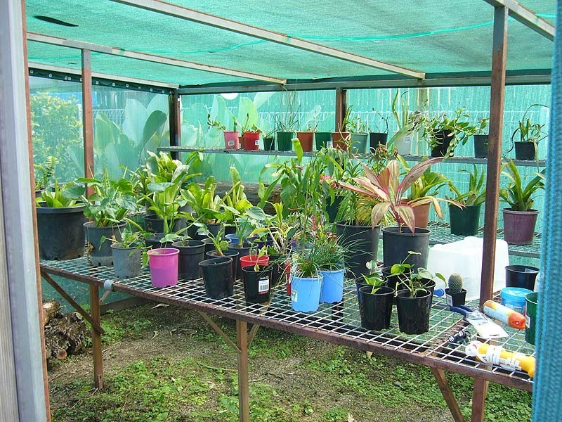 113 callaghan street, Mooroobool QLD 4870