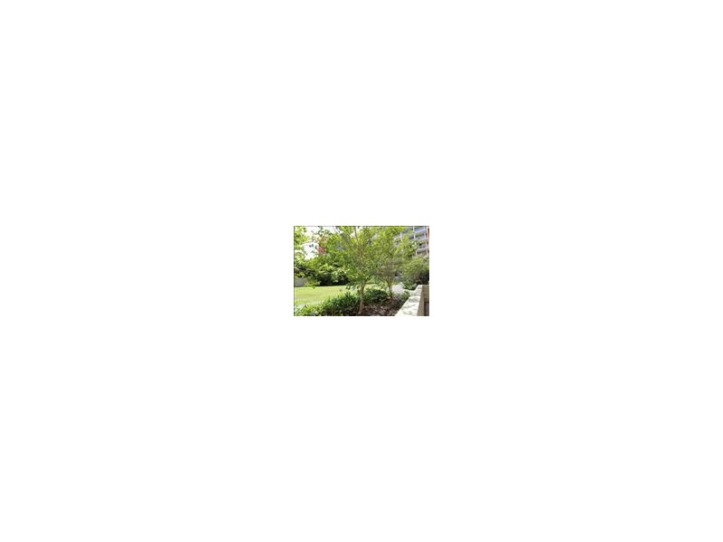 Strathfield NSW 2135