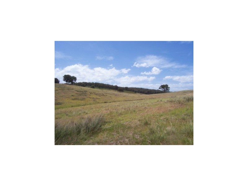 0 Warragul Toms Creek Road, Newry VIC 3859