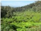 330 Link Road, Briagolong VIC 3860