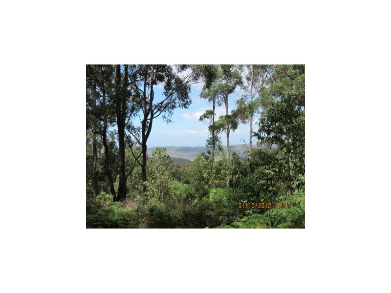 330 Link Road, Briagolong VIC 3860