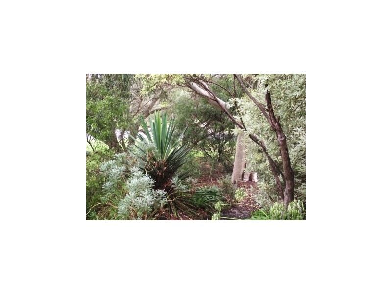 40 Henry Street, Maffra VIC 3860