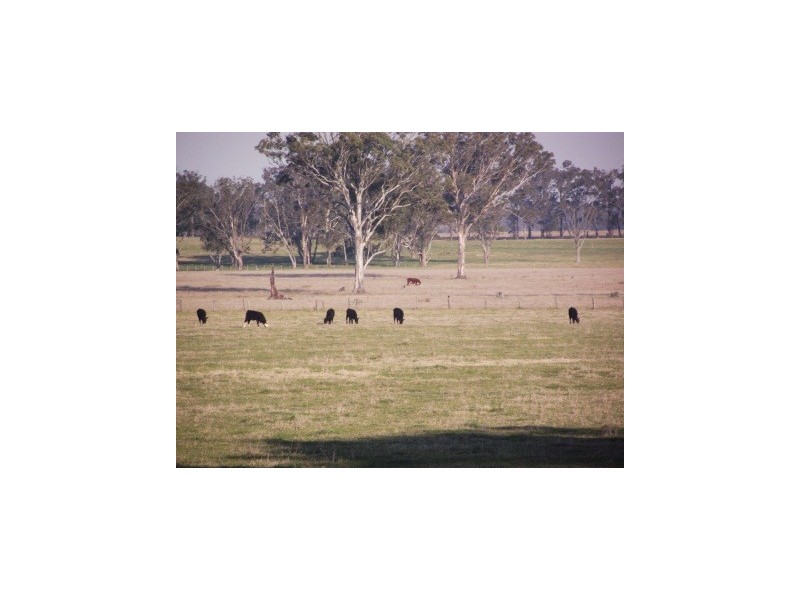 1150 Fernbank-Glenaladale Road, Fernbank VIC 3864