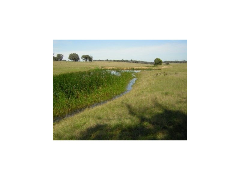 0 Sawpit Creek Road, Briagolong VIC 3860