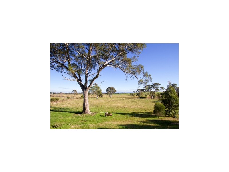 41 Batchelor Court, Maffra VIC 3860