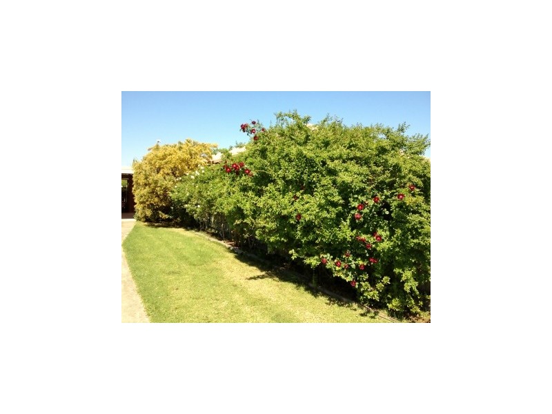 39 Merry Street, Maffra VIC 3860