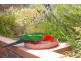 63 Hodges Road, Coongulla VIC 3860