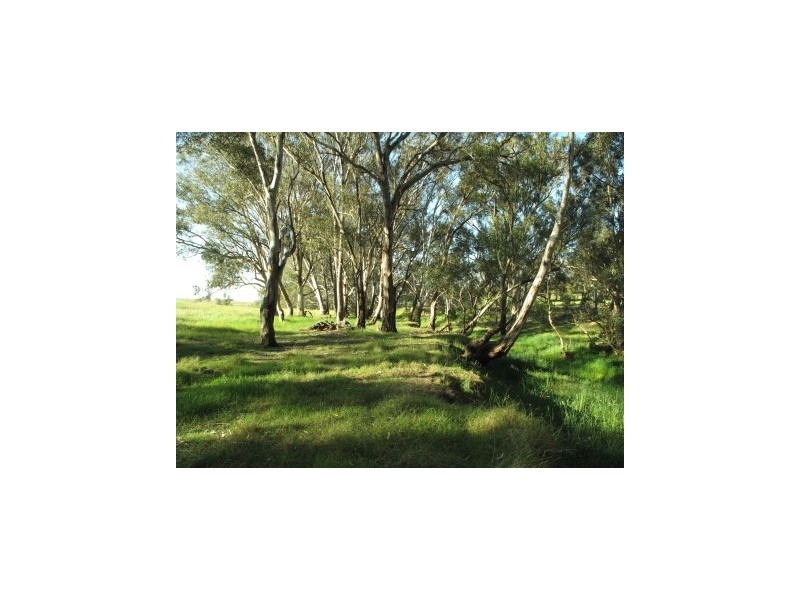 39 Sellings Lane, Maffra VIC 3860