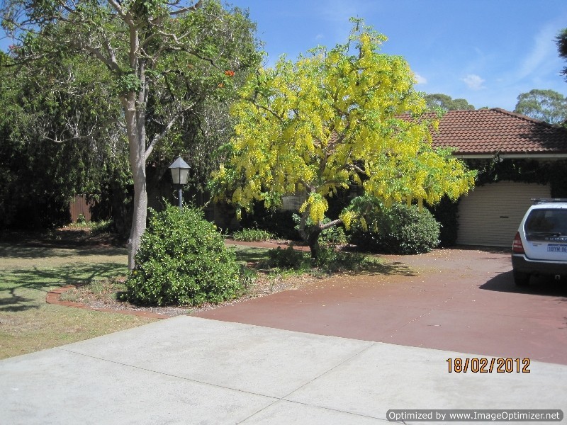 12 Cabramatta Street, Bayswater WA 6053