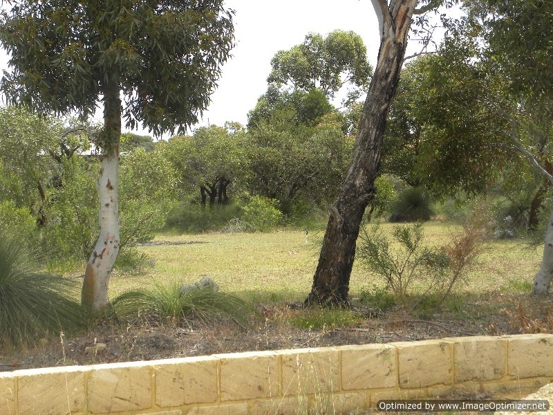 75 Blackbutt Grove, Gabbadah WA 6041